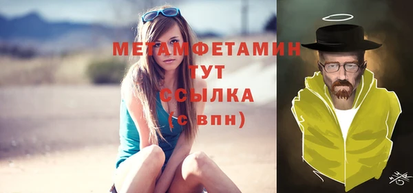 индика Абаза