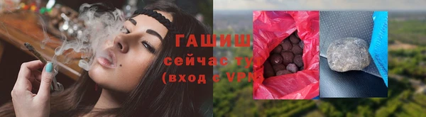 индика Абаза