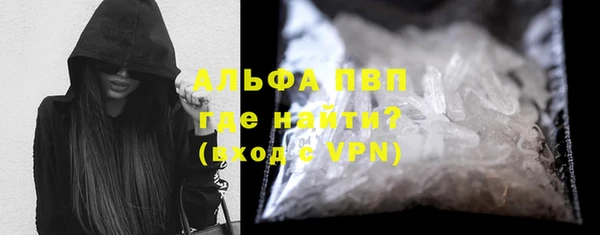индика Абаза