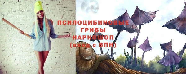 индика Абаза