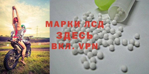 индика Абаза