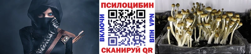цена наркотик  Тольятти  Галлюциногенные грибы ЛСД 